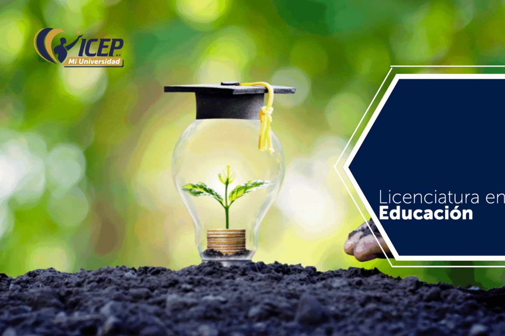 DIDÁCTICA DE LAS CIENCIAS NATURALES - EDUCACIÓN